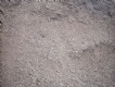 Terre v�g�tale